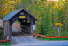 Gold Brook Coverd Bridge